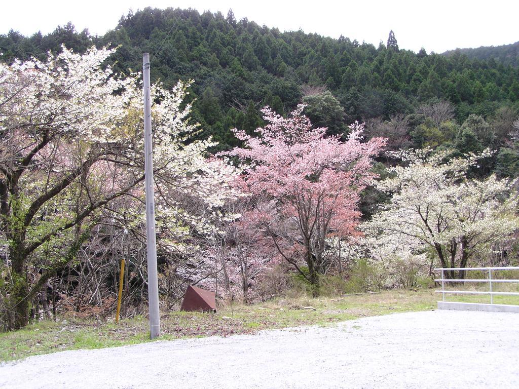 Irorino Yado Sankichi Hotell Izu  Exteriör bild